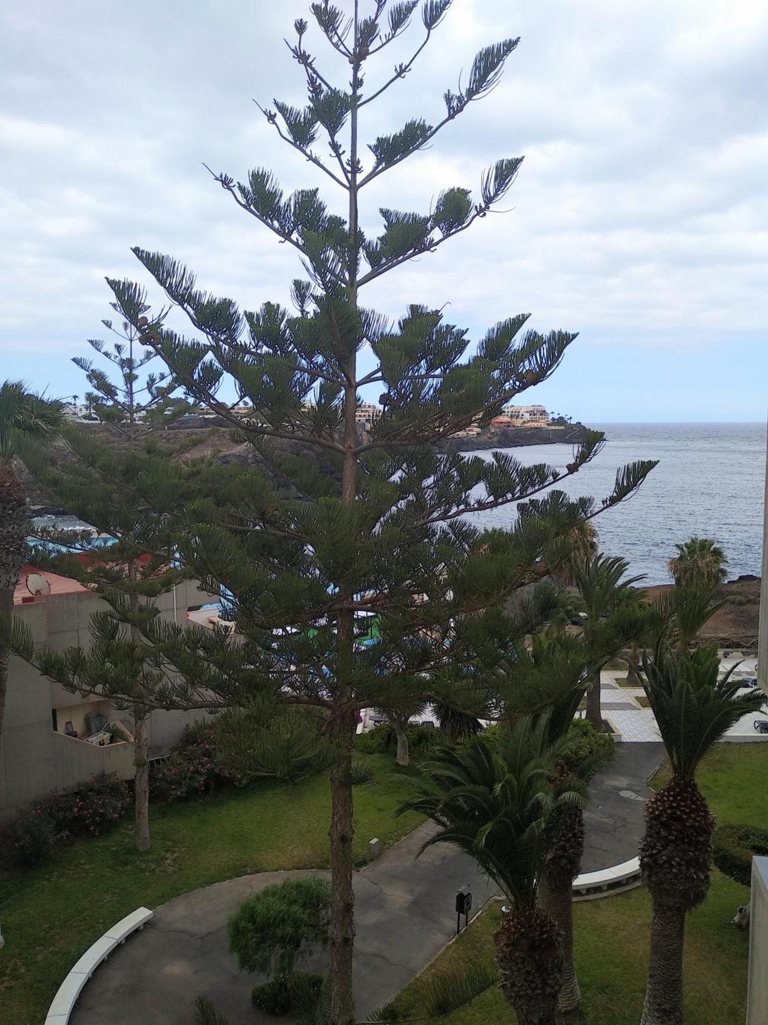 Garden View Apartment In Las Galletas Arona  Esterno foto